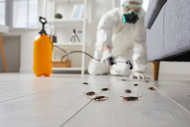Commercial Kitchen Cockroach Control in Dodgeville